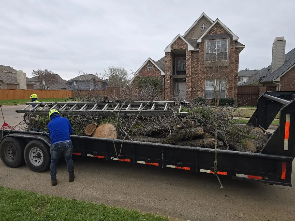 Expert Lot Clearing with proper safety equipment in Dickey